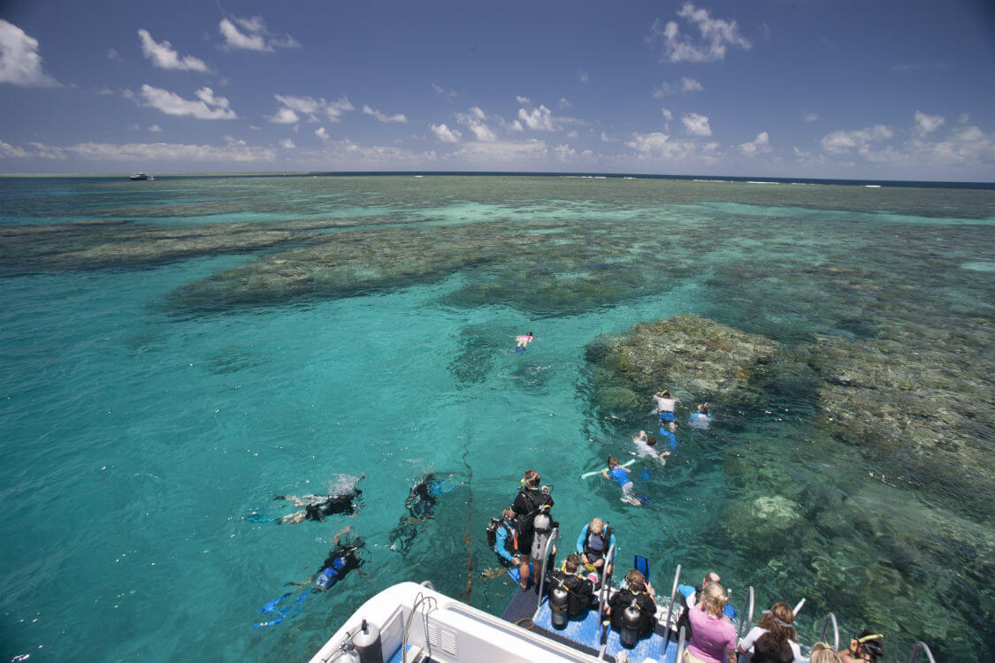 Snorkelling Great Barrier Reef Snorkelling Port Douglas