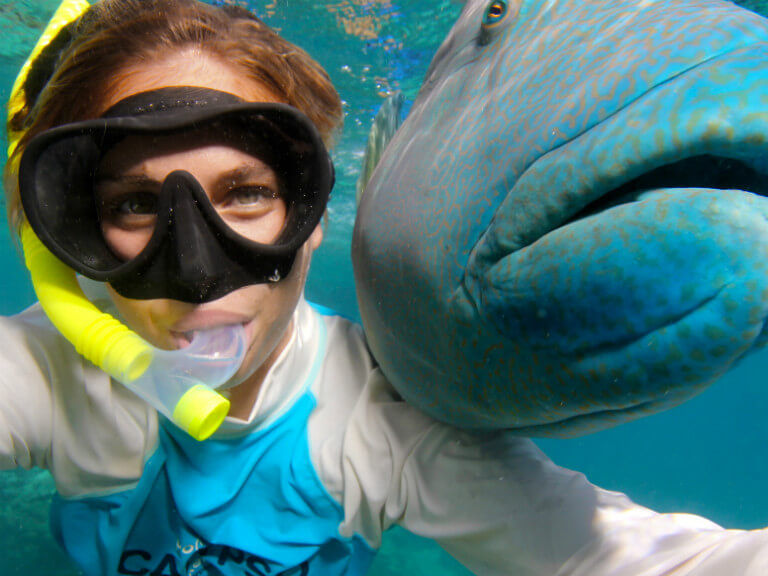 snorkelling great barrier reef