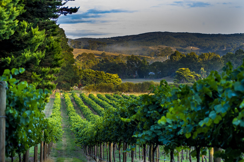 Australia wine growing areas