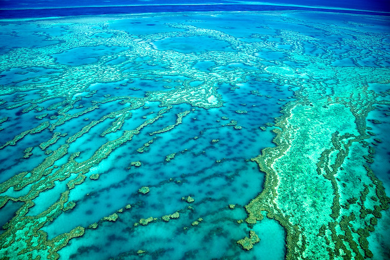 The Great Barrier Reef over Hardy Reef Whitsundays.