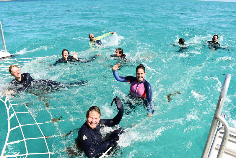 There are also other sea creatures out in the Ningaloo Reef. Often they are very friendly!