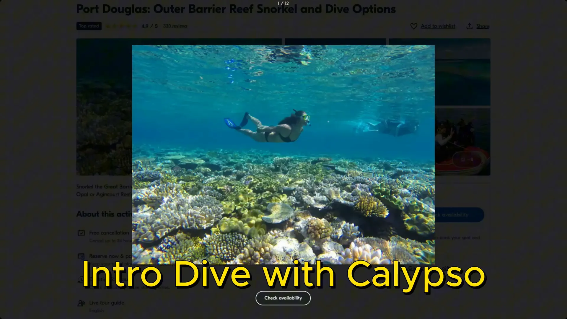 Snorkeling in the Great Barrier Reef