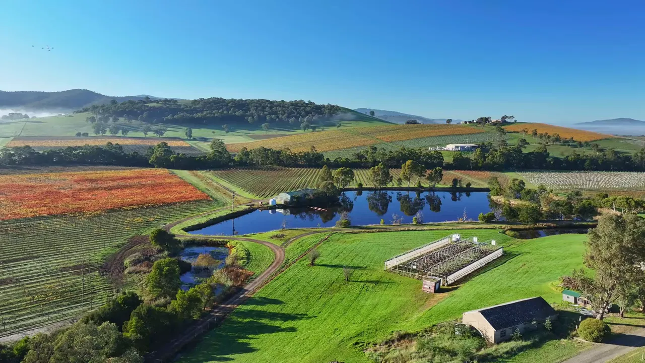 Aerial view of Yarra Valley vineyards and rolling hills